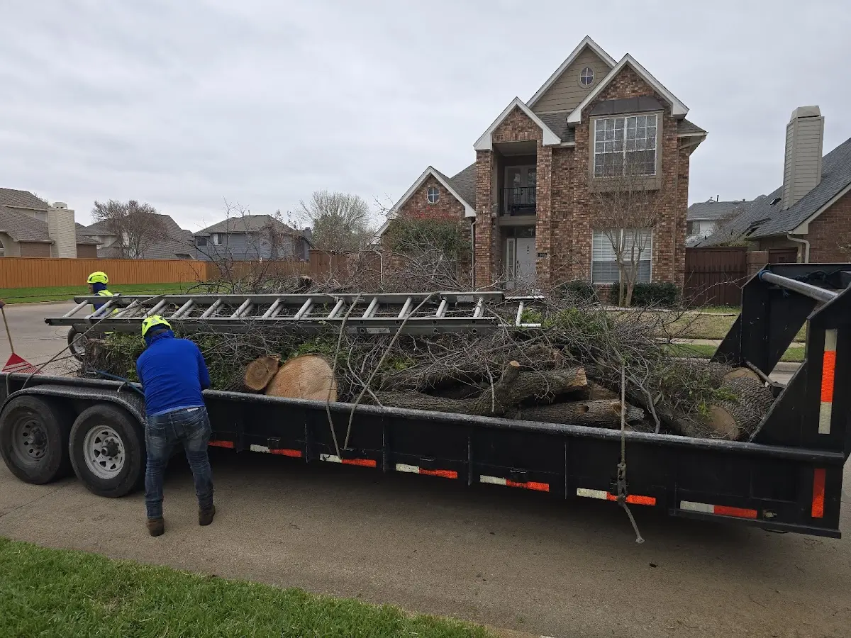 Expert Tree Fertilization with proper safety equipment in Coalmont